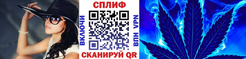 A-PVP Коряжма