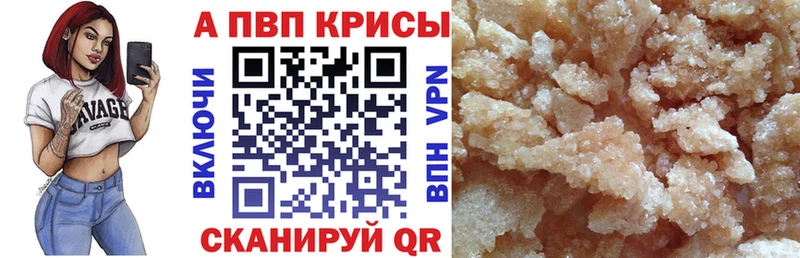 Альфа ПВП СК КРИС Коряжма