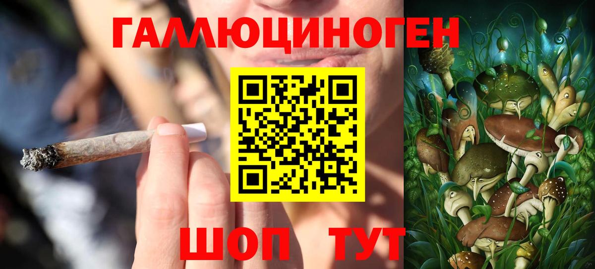 Псилоцибиновые грибы Cubensis  Галлюциногенные грибы Cubensis  Коряжма  Вход с VPN 