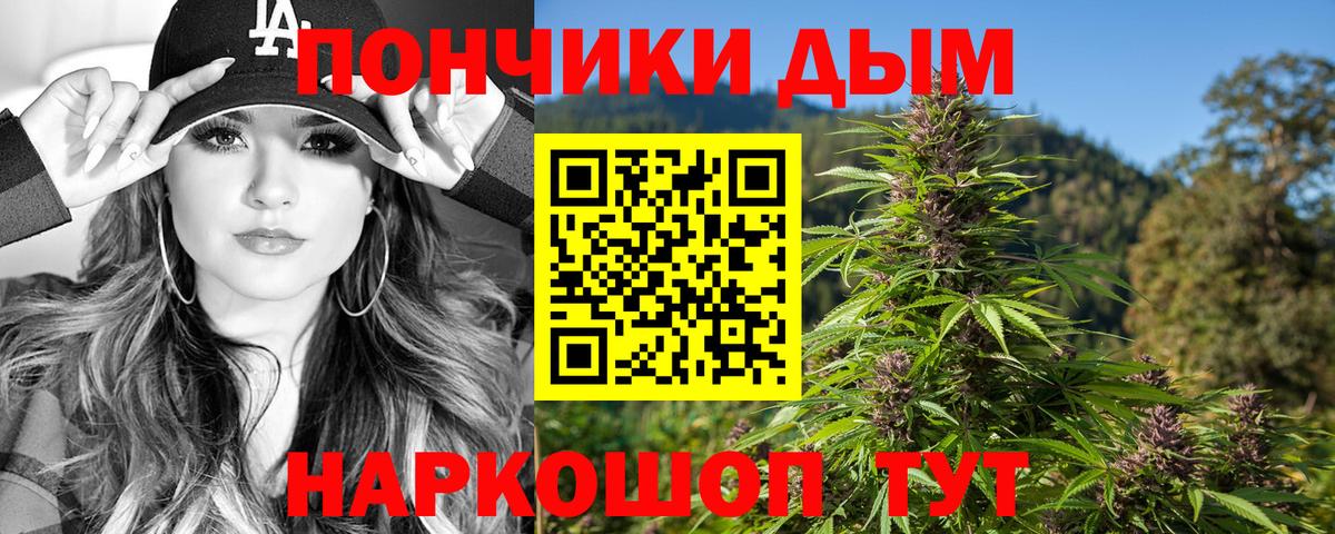 Конопля гибрид Коряжма